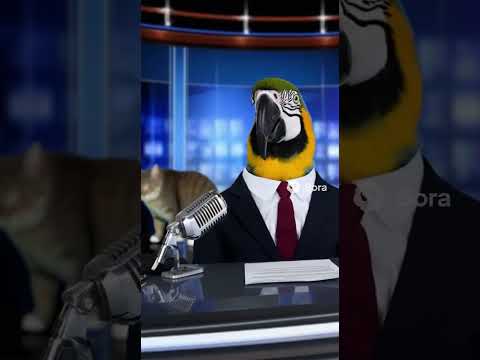 Parrot News Anchor Gets Interrupted By The Criminal He's Reporting On! #aivideo #funny #comedy #sora