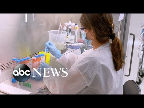 Major milestone in race to get a vaccine