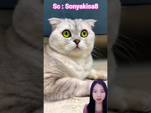 alat pel sudah diganti‼️Sonyakisa8