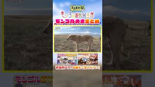 【大反響】モンゴルで出会った犬まとめ #shorts #ろふまお塾