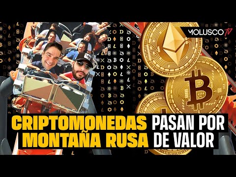 Explicamos el motivo de la baja en criptomonedas y si volveran a subir #ZonaCripto