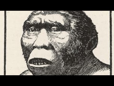 .🎬 Part 2 – Manusia Purba di Indonesia | Jejak Awal Peradaban Nusantara