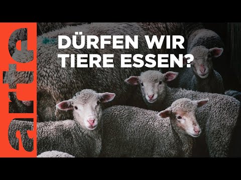 Der Zweifel - Krieg der Welten | Doku HD | ARTE