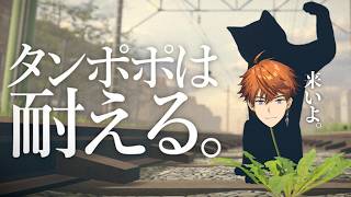 【タンポポは耐える。】蚊でも止まったか？【北見遊征/にじさんじ】