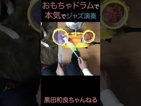 スペイン演奏のプロがアンパンマンドラムの実力を徹底検証！