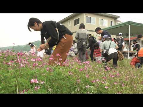 吉田れんげまつり　子どもたちがレンゲ畑を楽しむ【oniビジョン】