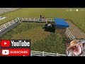 Small horse paddock v1.0.1.0