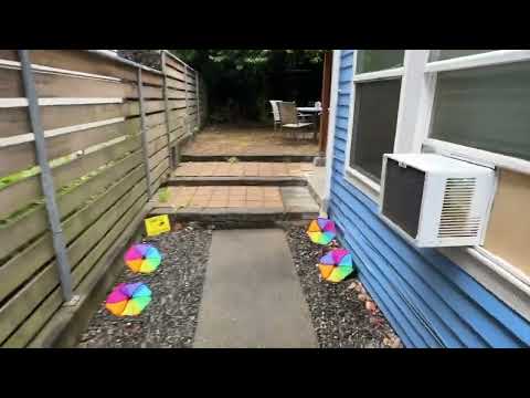 Property video