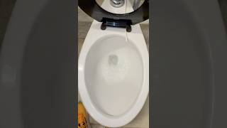 American standard #toilet at the Rhode Island state house