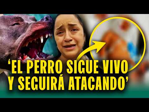 'Un daño irreversible': Pitbull desfigura a menor de edad y dueña no se hace responsable
