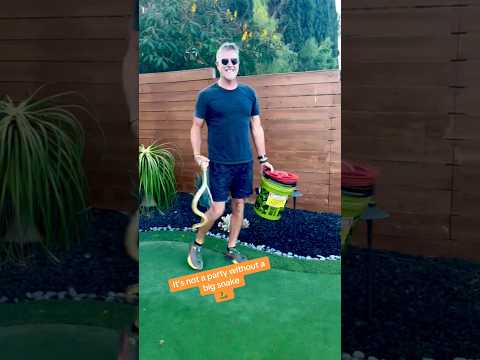 It takes a snake to make a party fun #party #snake #fyp #youtube