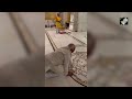 Kerala Governor Ram Mandir Visit | Kerala Governor Arif Khan Visits Ram Temple, Bows Before Deity  - 01:07 min - News - Video