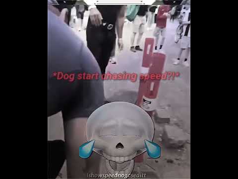Speed getting chased by the dog! 🤣 #viral #funny #shorts #edit #ishowspeed