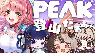 【 #peak  】今日はこの4人で山登るよぉおおぉおお✨【 お絵描きVtuber 七海仁美 　w/春霞みぃな  美南まよ 高坂めぐみ 】