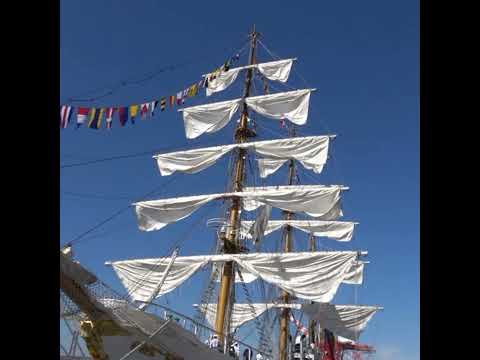 the sails of the Arc Gloria Tall Ship #tallship #buquegloria #views #subscribe