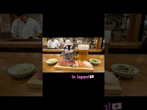 Baby Penguin in Japan!