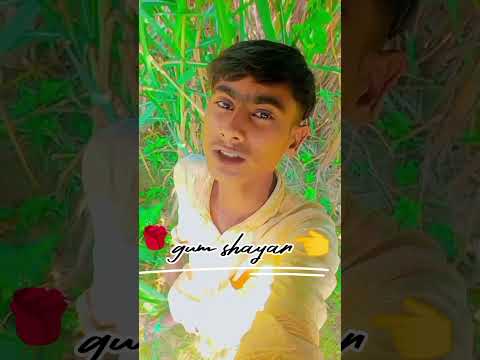 🌹Gam shayar 👈#viralvideos #sad #trending