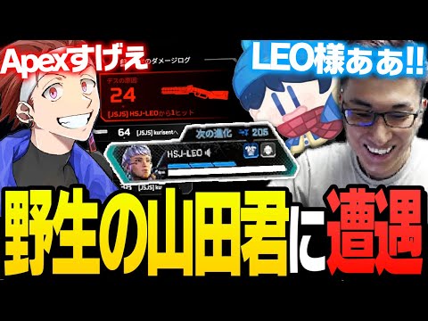 CRカップメンバーとランク中「野生の山田涼介」に遭遇【ApexLegends】