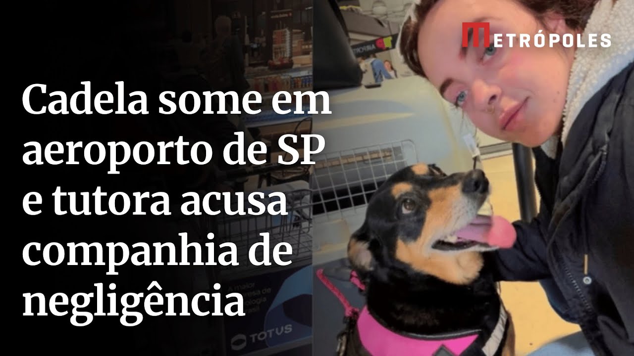 Cadela some em aeroporto de SP e tutora acusa companhia de negligência