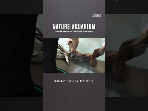 [ADAview] W1800mm Nature Aquarium Layout Tree Spirit Sanctuary