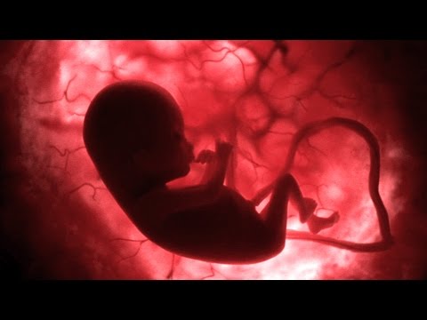 Life Before Birth'