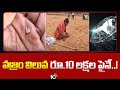 Farmer Found Diamond in Kurnool District | కర్నూలు జిల్లాలో రైతుకు దొరికిన వజ్రం | 10TV News
