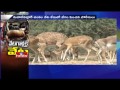 Police speed Mahadevpur Deer hunting case