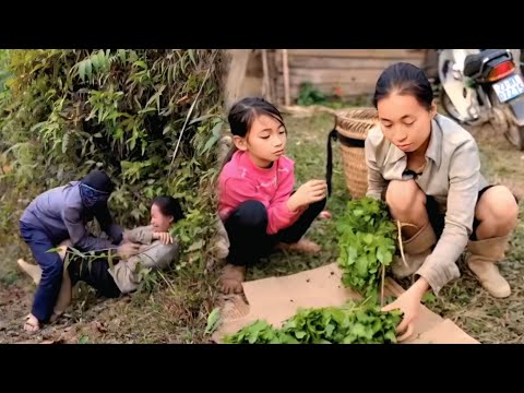 Single Mom Harvests for Children and Build a Wooden House in the Jungle While Facing Cruel People