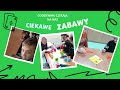 Miniatura video