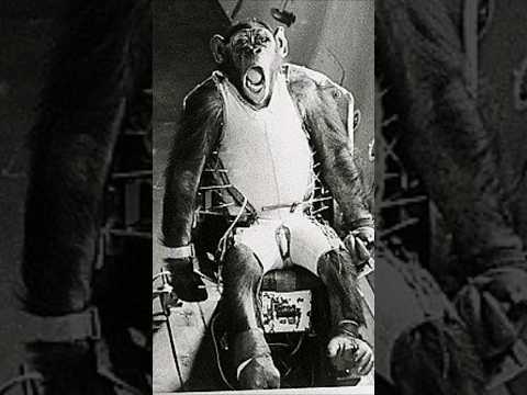 THE UNTOLD SPACE EXPERIMENTS.