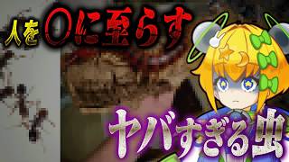 【閲覧注意】絶対に出会いたくない恐怖の生き物7選【#都市伝説 #昆虫 #VTuber】