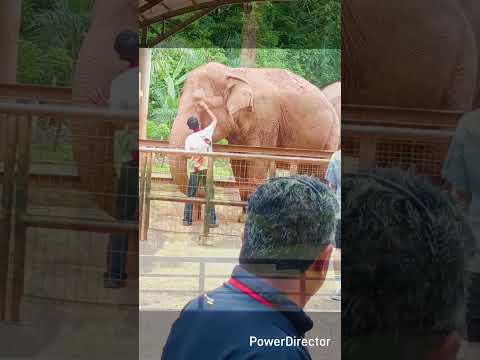 Zoo & Taman Burung Melaka!