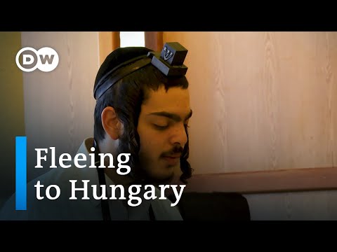 How Jews from Israel are seeking refuge in Hungary | Focus on Europe
