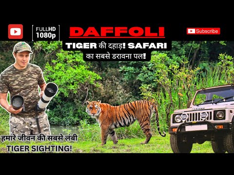 TIGER SIGHTING | KAZIRANGA NATIONAL PARK #tiger #wildlife #trending 