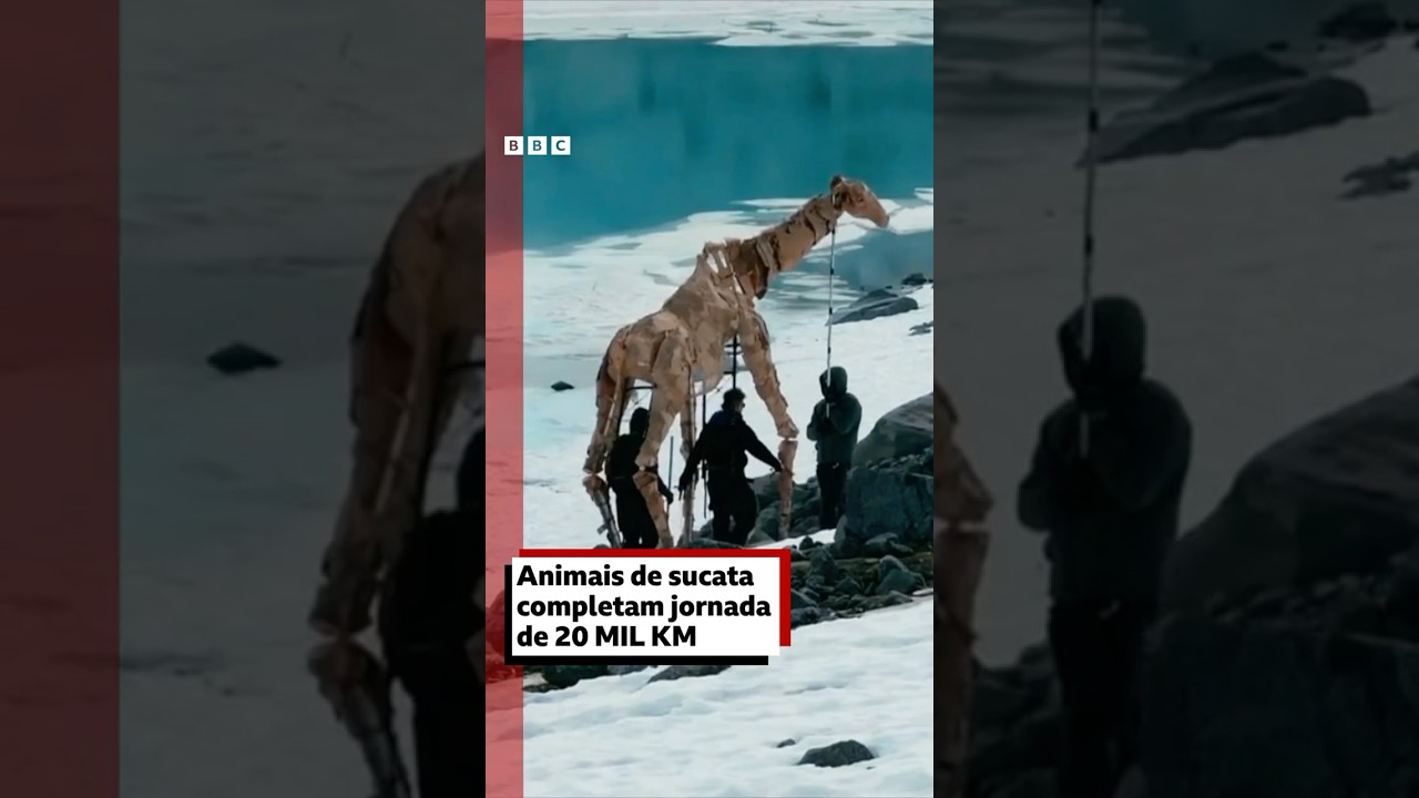 Da floresta ao gelo eles percorreram 20 mil km com animais de sucata 🐘🦒🦍