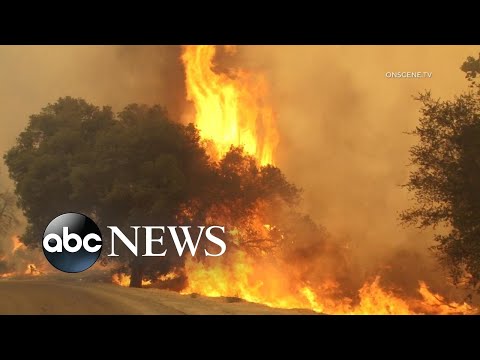 Record heat and wildfires force more evacuations in the West l GMA