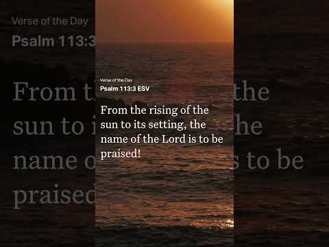 BIBLE VERSE 43 #jesusisking #godisgood