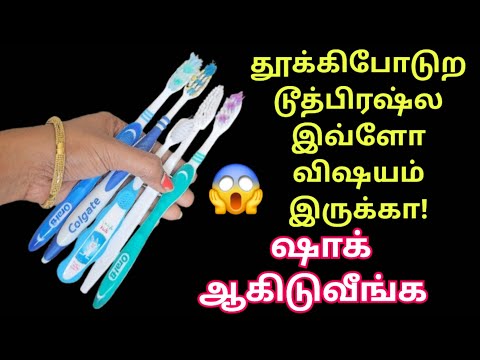 இது தெரியாம இவ்ளோ நாளா தூக்கிப் போட்டோமே🤩சூப்பர் ஐடியா|reuse ideas|kitchen tips tamil #tips #diy