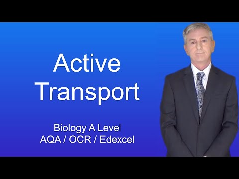 A Level Biology Revision “Active Transport”
