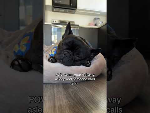 Please eat something else