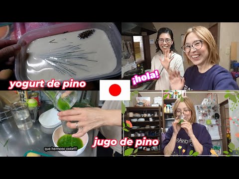 mi amiga Japonesa me enseña hacer jugo de pino y yogurt