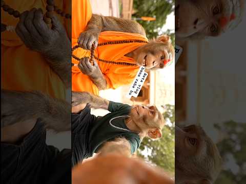 🐒✨Bantoo bhai With Bajrangi Baba | Life Changing Pravachana🙏🔥 #aimonkeyvlog #bantoobhai