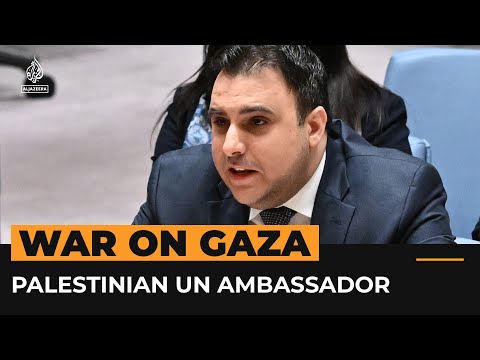 Palestinian UN ambassador calls out Security Council inaction | AJ #Shorts