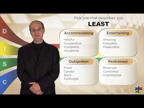 The DISC Online Interactive Assessment