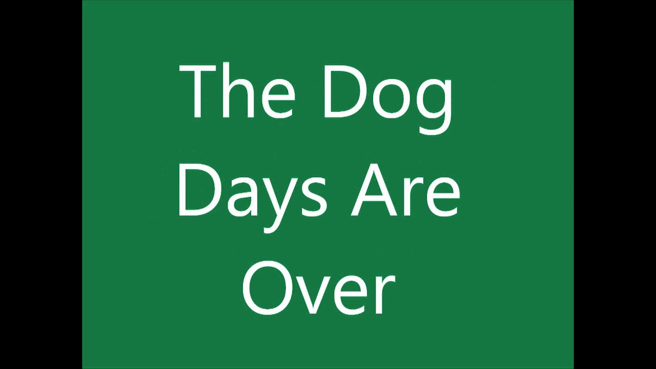 The Dog Days Are Over Lyrics Florence And The Machine YouTube