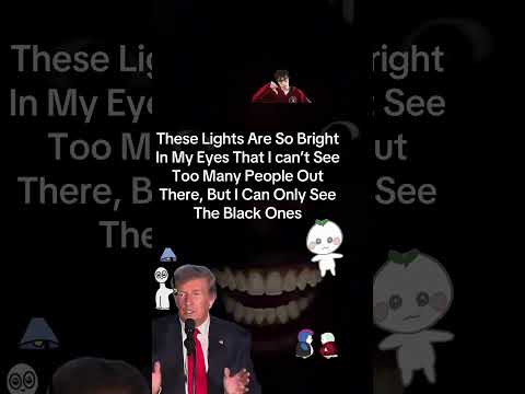 These Lights Are So Bright In My Eyes That I can’t See Too Many People Out There #fy #trump #racism