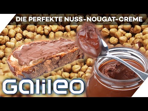 Nuss, nussiger, selbstgemacht! So geht die perfekte Nuss-Nougat-Creme | Galileo | ProSieben