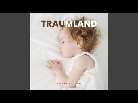 Träumerischer Delfin Tauchgang