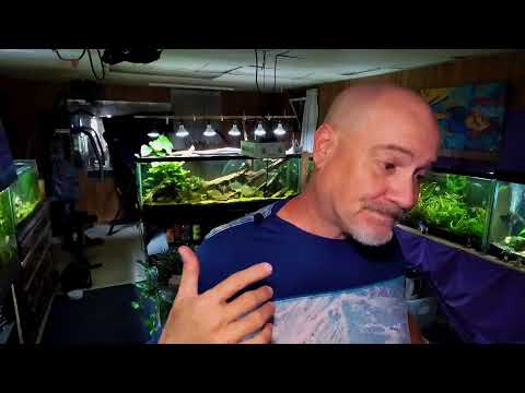 The Dan & Steve Show Join this channel to get access to perks_
https_//www.youtube.com/channel/UCBdxLXjOdp26Ke8NQRt7eBg/j