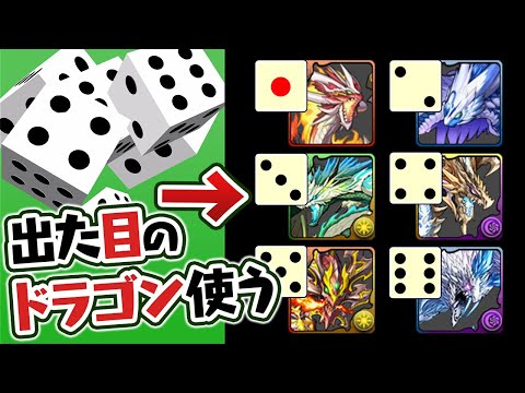サイコロ6つ振って出た目のナンバードラゴンを使ってみた結果…！？【パズドラ】